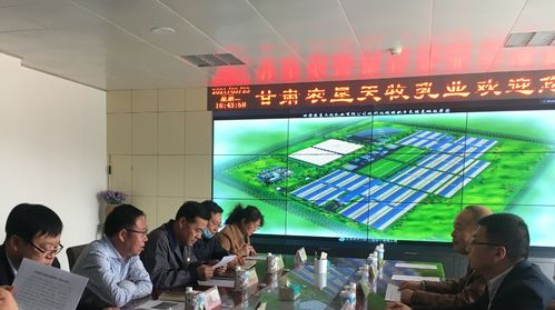 金川区科技局精准发力 提升科技服务能力，多维支撑企业高质量发展
