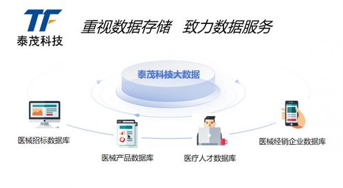 推动高质量发展 泰茂科技领航全国医药数据服务新纪元